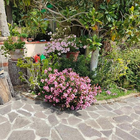Il Diacciarello Apartment Gabbro Exterior photo