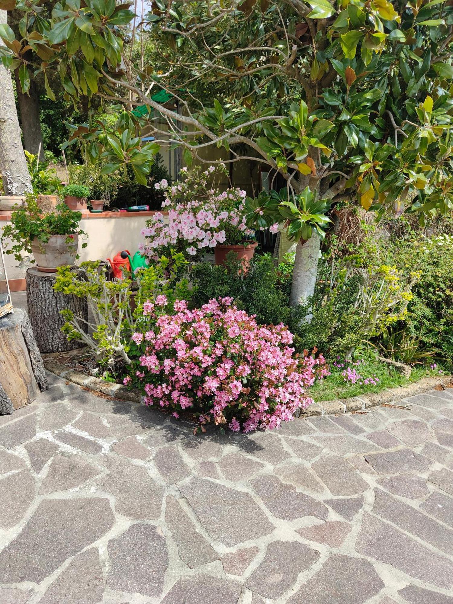 Il Diacciarello Apartment Gabbro Exterior photo